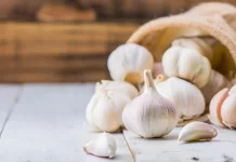 Garlic Treats Men’s Health Issues