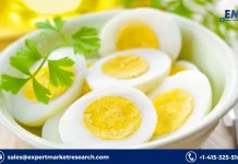 Germany Solid Egg Substitutes Market