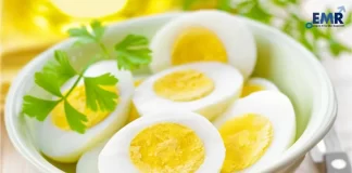 Germany Solid Egg Substitutes Market