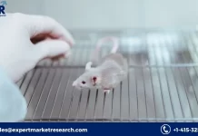 Humanised Mouse and Rat Model Market
