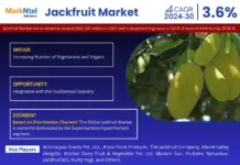 Global Jackfruit Market