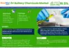 Global EV Battery Chemicals Market