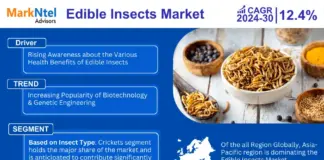 Global Edible Insects Market