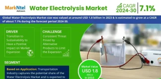 Global Water Electrolysis Market